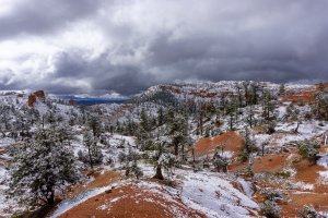 20210427BryceCanyonNP145.jpg