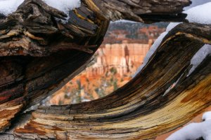 20210427BryceCanyonNP146.jpg