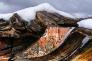 20210427BryceCanyonNP147.jpg