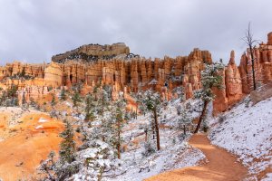 20210427BryceCanyonNP149.jpg