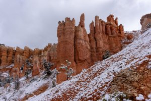 20210427BryceCanyonNP150.jpg