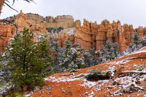 20210427BryceCanyonNP151.jpg