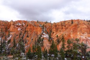 20210427BryceCanyonNP152.jpg