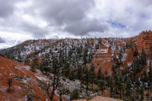 20210427BryceCanyonNP153.jpg