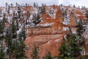 20210427BryceCanyonNP154.jpg