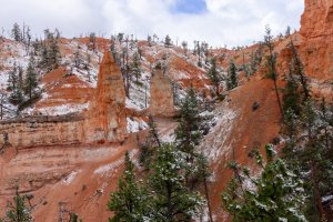 20210427BryceCanyonNP155.jpg