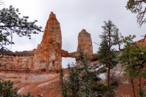 20210427BryceCanyonNP158.jpg