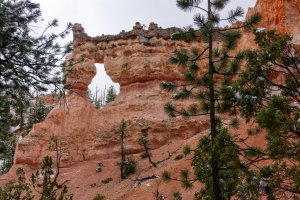 20210427BryceCanyonNP159.jpg