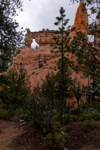 20210427BryceCanyonNP160.jpg