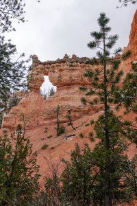 20210427BryceCanyonNP161.jpg