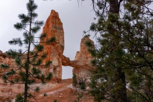20210427BryceCanyonNP162.jpg