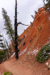 20210427BryceCanyonNP164.jpg