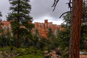 20210427BryceCanyonNP166.jpg