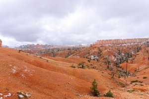 20210427BryceCanyonNP168.jpg
