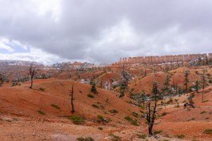 20210427BryceCanyonNP170.jpg