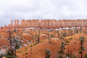 20210427BryceCanyonNP171.jpg