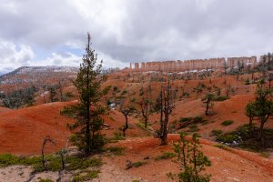 20210427BryceCanyonNP173.jpg