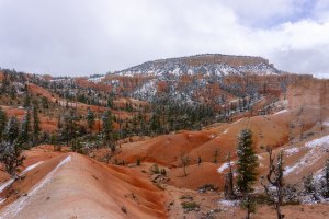 20210427BryceCanyonNP174.jpg