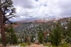 20210427BryceCanyonNP180.jpg