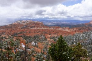 20210427BryceCanyonNP181.jpg