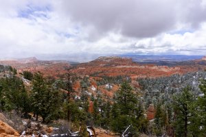 20210427BryceCanyonNP182.jpg