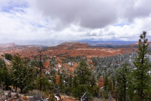 20210427BryceCanyonNP183.jpg