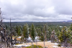 20210427BryceCanyonNP185.jpg