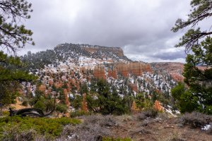 20210427BryceCanyonNP191.jpg