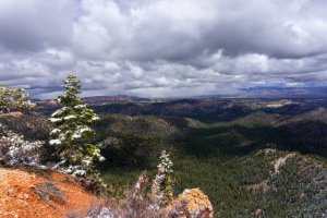 20210427BryceCanyonNP203.jpg