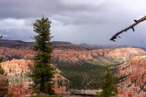 20210427BryceCanyonNP206.jpg