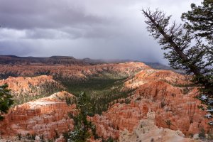 20210427BryceCanyonNP208.jpg