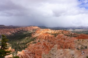 20210427BryceCanyonNP209.jpg