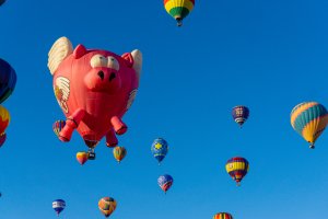 20211002BalloonFiesta-279.jpg