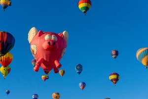 20211002BalloonFiesta-280.jpg