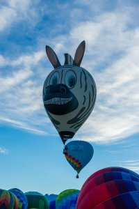 20211003BalloonFiesta-186.jpg