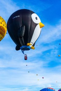 20211003BalloonFiesta-498.jpg