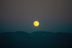 20211118Moon-9-standard.jpg