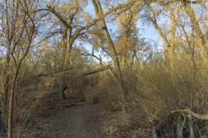 20220113BosqueWalk-17.jpg