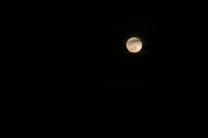 20220117Moon-34-low-light.jpg