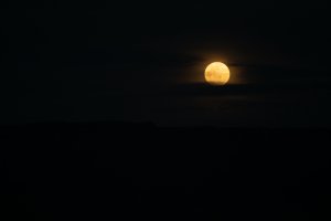 20220117Moon-14.jpg
