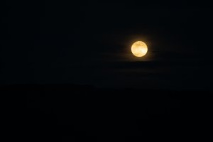 20220117Moon-19.jpg