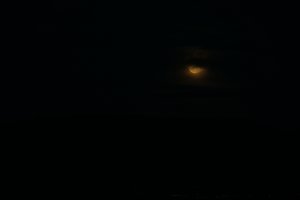 20220117Moon-30.jpg