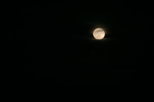 20220117Moon-33.jpg