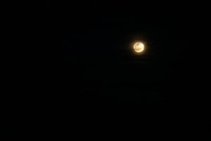20220117Moon-35.jpg