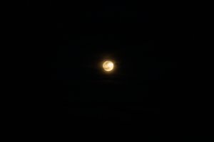 20220117Moon-36.jpg