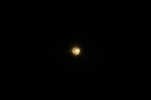 20220117Moon-37.jpg