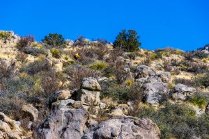 20220129EyeOfTheSandias-3.jpg