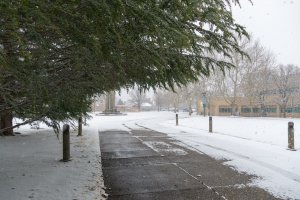 20220203SnowStorm-8.jpg