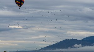 20221004BalloonTimeLapse-197.jpg