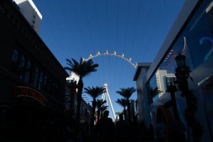 20221225LasVegasChristmas-143.jpg